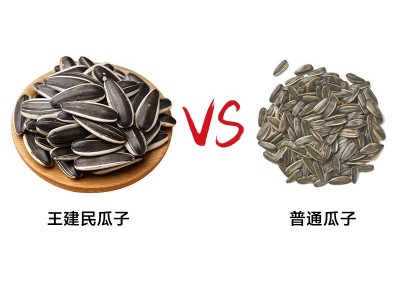 王建民绿袋原味瓜子葵花子批发小袋包装休闲零食坚果炒货甘肃特产图2