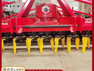 深耕重型4.2米动力驱动耙 农田秸秆灭茬机 耕王供应重型驱动耙图2
