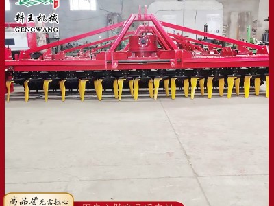 深耕重型4.2米动力驱动耙 农田秸秆灭茬机 耕王供应重型驱动耙图3
