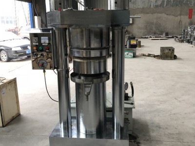 大型立式芝麻可可豆榨油机 液压低温榨油设备 核桃仁榨油机图3