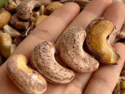 超大越南腰果500g 坚果干果零食批发坚果零食 干果零食批发 坚果图2