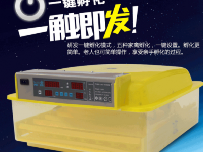 伊科贝特孵化机全自动家用型36枚48枚鸡鸭鹅鸽子小型孵化器代发图2
