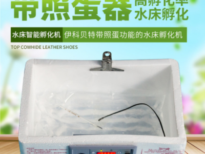 伊科贝特仿生水床孵化机 家用型20枚孵化器小型 自动控温孵蛋器图2