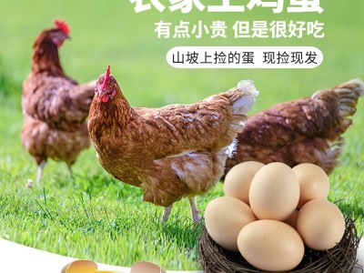 现捡现发农家山林果园养鸡蛋 中秋礼品送孕妇月子谷物喂养土鸡蛋图2