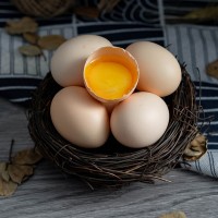 现捡现发农家山林果园养鸡蛋 中秋礼品送孕妇月子谷物喂养土鸡蛋