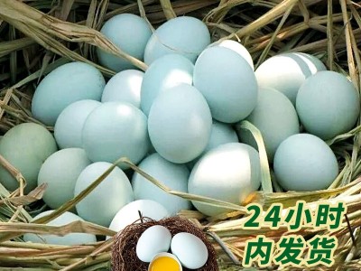 安徽农家特产乌鸡蛋果林散养五谷虫草现捡现发孕妇宝宝辅食土鸡蛋图1