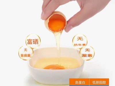 富硒无抗鸡蛋40枚土溏心无激素农残新鲜柴现捡鸡蛋送礼礼品盒图4