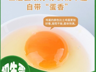 初生蛋无抗富硒新鲜鸡蛋40枚12-15个1斤非柴土散养生食鸡蛋包邮图3