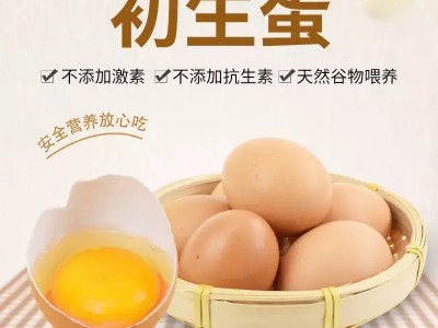 初生蛋无抗富硒新鲜鸡蛋40枚12-15个1斤非柴土散养生食鸡蛋包邮图5