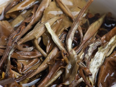 手工小饼月光白 一粒一泡小沱茶散装沱茶现货批发500克图4
