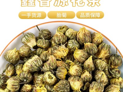 批发供应散装花草茶胎菊 胎菊王 胎菊花茶 量大从优厂家批发图1