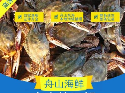 正宗舟山梭子蟹活蟹速冻 冷链运输 量大从优图5