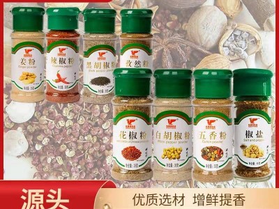 批发孜然粉辣椒粉家用烤肉胡椒粉腌料花椒粉烧烤蘸料椒盐烤串撒料图3
