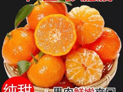 砂糖橘广西荔浦正宗砂糖橘桔子现摘现发3斤/5斤/10斤支持一件代发图4