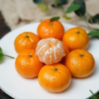 有机砂糖桔广西沙糖桔橘子新鲜无籽蜜橘批发产地直销当季水果