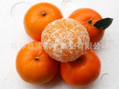 有机砂糖桔广西沙糖桔橘子新鲜无籽蜜橘批发产地直销当季水果图2
