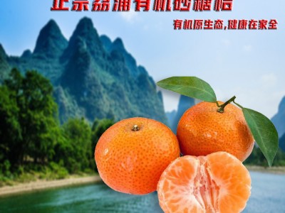 国家认证有机水果正宗有机荔浦砂糖桔无籽蜜桔批发高品质现摘现发图1