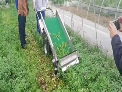 销售蒲公英收获机 手扶式电动叶菜收割机 加工订做香葱收获机图2