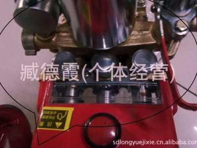 高压果林药泵 120型药泵 抽水泵 压力泵 喷雾器 打药机 清洗机图3
