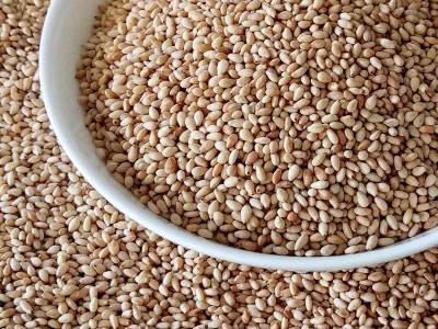 芝麻官 熟白芝麻 食品厂专用 精选国产色选芝麻50斤 厂家批发图4