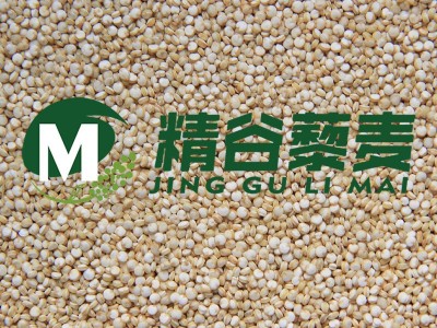 藜麦去壳去皂苷设备 藜麦清理去石机 全自动藜麦脱皮抛光机图4