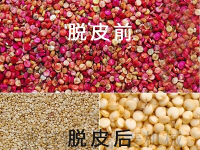 藜麦去壳去皂苷设备 藜麦清理去石机 全自动藜麦脱皮抛光机图2