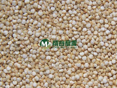 全自动藜麦脱皮机 青海三色藜麦脱皮去皂苷抛光机组金藜谷子图2
