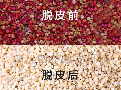 全自动藜麦脱皮机 青海三色藜麦脱皮去皂苷抛光机组金藜谷子图4