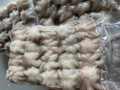 新鲜三去小八爪鱼整只章鱼海鲜麻辣火锅食材小章鱼400克左右20个图4