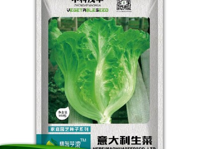 中科茂华蔬菜种子公司批发意大利生菜种子家庭园艺生菜种图2