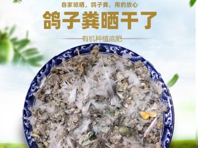 厂家供应有机肥 鸽子粪 用于蔬菜水果种植 欢迎来电咨询图3