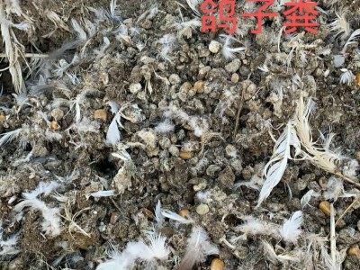 厂家供应有机肥 鸽子粪 用于蔬菜水果种植 欢迎来电咨询图2