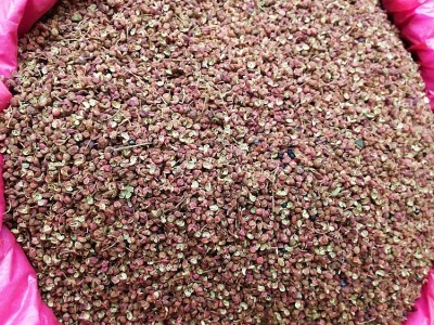 武都花椒500g汉源大红袍花椒四川茂纹红麻椒干货青麻椒韩城花椒粒图3