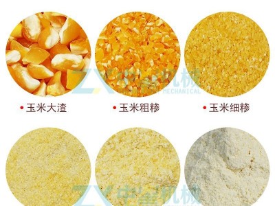 全自动玉米糁加工玉米面粉大米小米脱皮 小型玉米加工脱皮制糁机图2