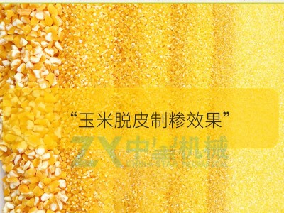 玉米加工柴油机带动生产玉米粗糁细糁 苞米碴子磨玉米粉制糁机图3