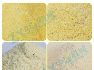 小型玉米糁流水线 加工玉米拉糁磨面机 脱皮制糁机玉米糁子机图3