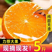 爱媛38号果冻橙四川薄皮手剥爆甜柑橘桔子当季时令新鲜水果