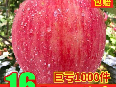 苹果水果冰糖心10斤红富士新鲜当季整箱陕西丑苹果脆甜一件批发图1