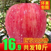 苹果水果冰糖心10斤红富士新鲜当季整箱陕西丑苹果脆甜一件批发