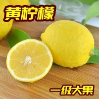 四川安岳黄柠檬当季新鲜水果一级果皮薄批发尤力克柠檬奶茶店代发