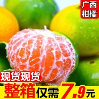 批发广西水果一件代发新鲜橘子水果蜜橘柑橘薄皮青皮桔子砂糖桔