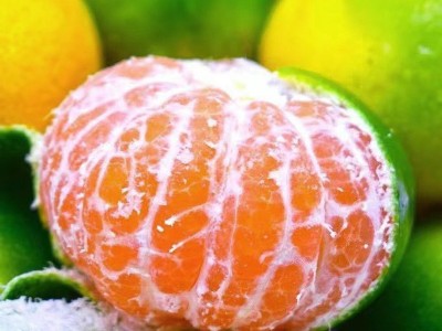 批发广西水果一件代发新鲜橘子水果蜜橘柑橘薄皮青皮桔子砂糖桔图3
