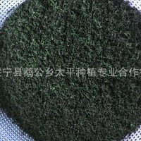 七叶嫩叶绞股蓝 绞股蓝 筛出的碎茶散茶甘味七叶参湖南绥宁