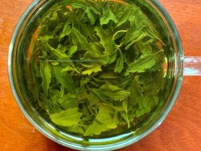 七叶嫩叶绞股蓝 绞股蓝 筛出的碎茶散茶甘味七叶参湖南绥宁图4