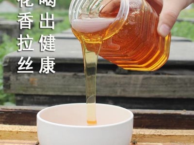 蜂蜜纯正土蜂蜜农家自产百花蜜500g洋槐椴树蜜图2