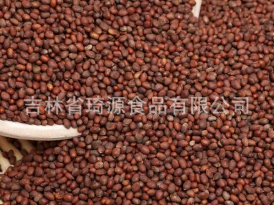 批发熟萝卜籽 低温烘焙 大萝籽 五谷杂粮批发 散装萝卜籽图4