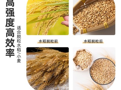 【城北机械】吹风自排草稻麦脱粒机家用小型打谷机水稻小麦风选式图2