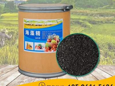 叶面肥水溶肥生根剂海藻精 高含量片剂海藻酸海藻素海藻肥海藻精图3