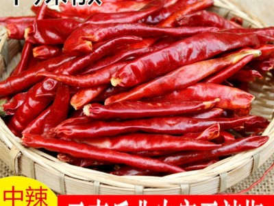 云南丘北椒 干辣椒厂家直发 20kg大包装 中辣特香干辣椒 批发商用图2