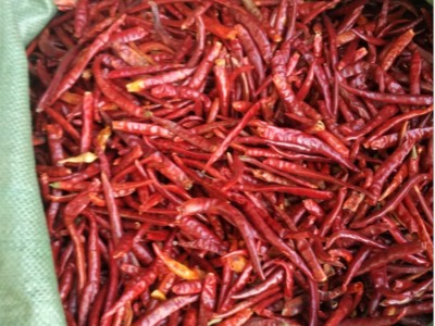 云南丘北椒 干辣椒厂家直发 20kg大包装 中辣特香干辣椒 批发商用图4
